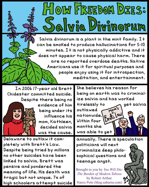 Salvia Divinorum and Freedom