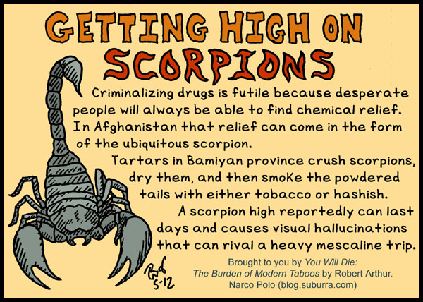 Getting High on Scorpions